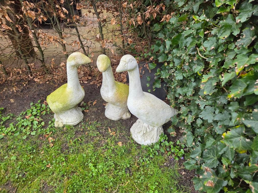 Drie ganzen...even oppoetsen, Tuin en Terras, Ophalen, Kunststof