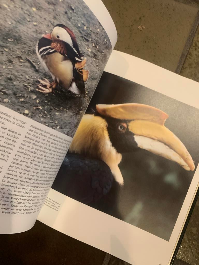 De Wonderlijke Natuur: Tropische Vogels - vogelboek, Ophalen of Verzenden, Gelezen, Vogels