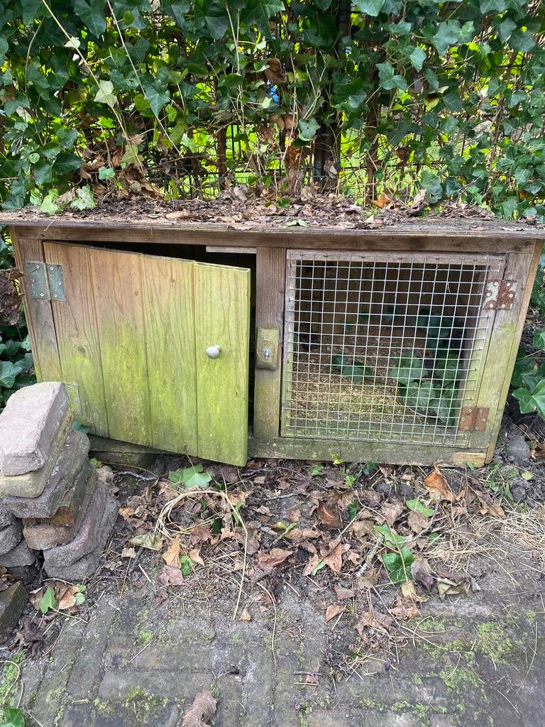 Konijnenhok gratis, Dieren en Toebehoren, Knaagdieren en Konijnen | Hokken en Kooien, Ophalen, 60 tot 90 cm, Konijn, Hok
