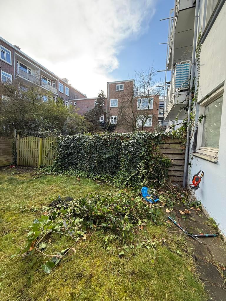 klimop vereijden, Ophalen of Verzenden, Gebruikt, Hout, Tuinhek