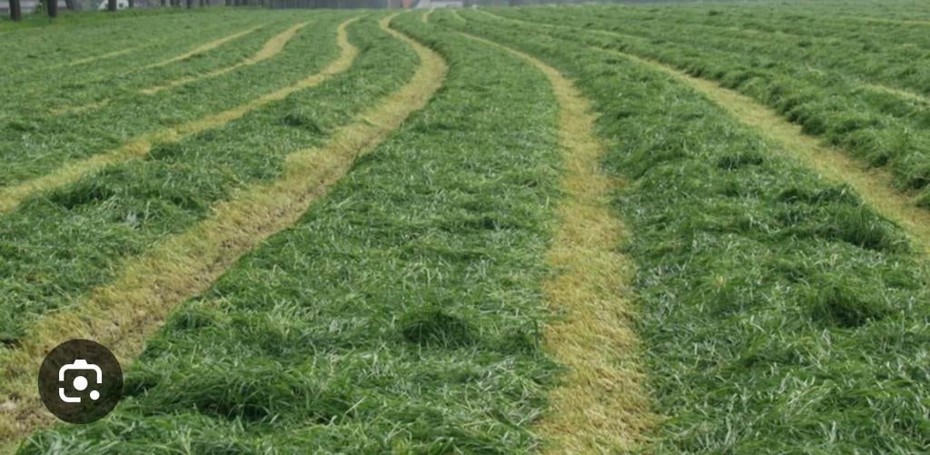 GEZOCHT! Gras op stam, Ophalen