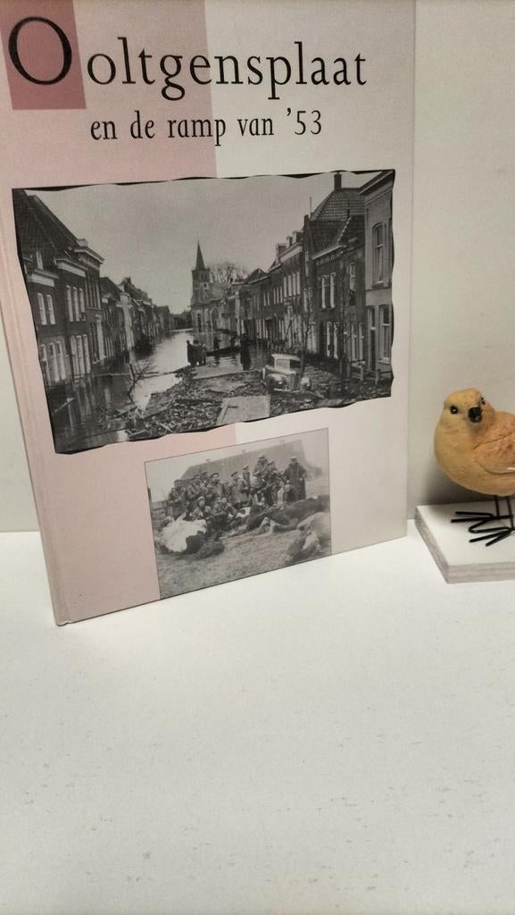 Bruijns , J. e.a.; Ooltgensplaat en de ramp van ‘53, Boeken, Geschiedenis | Stad en Regio, Gelezen, Ophalen of Verzenden