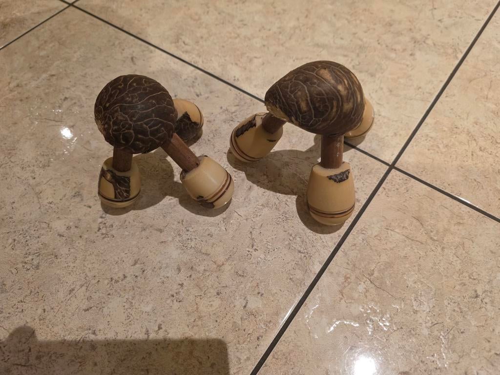 Tagua massage spin 2, Ophalen of Verzenden