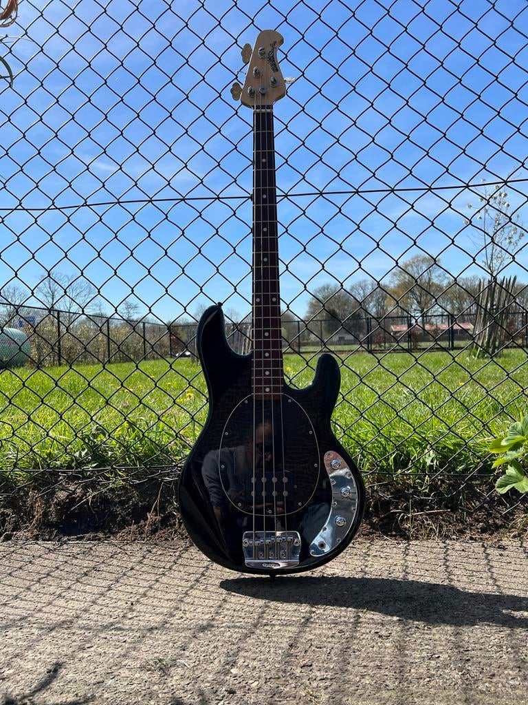 Music Man StingRay basgitaar 4-snarig, Muziek en Instrumenten, Ophalen of Verzenden, Gebruikt, Elektrisch
