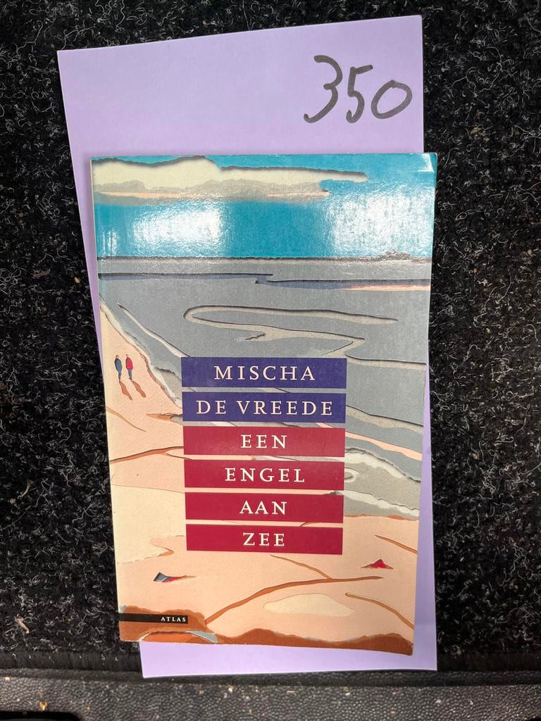 Mischa de Vreede - Een Engel aan Zee (Boek), Ophalen of Verzenden, Zo goed als nieuw, Nederland