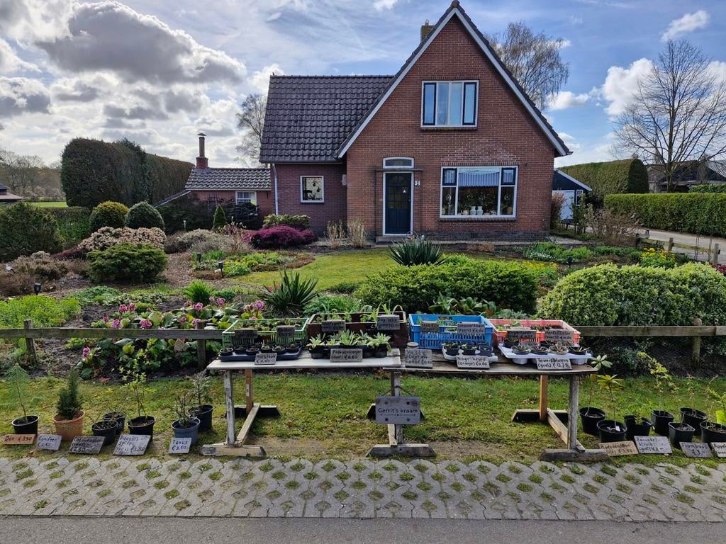 Kraampje met vaste planten en struiken, Ophalen, Vaste plant, Overige soorten, Volle zon