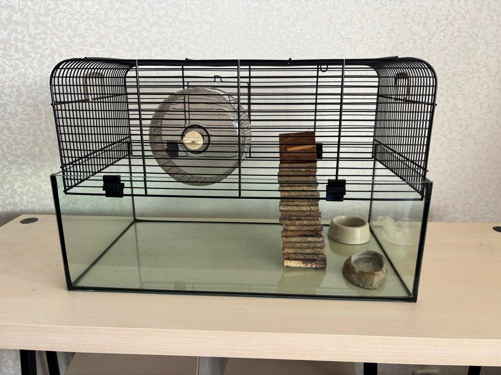 Hamsterkooi met accesoires, Dieren en Toebehoren, Kooi, Minder dan 75 cm, Zo goed als nieuw, Hamster