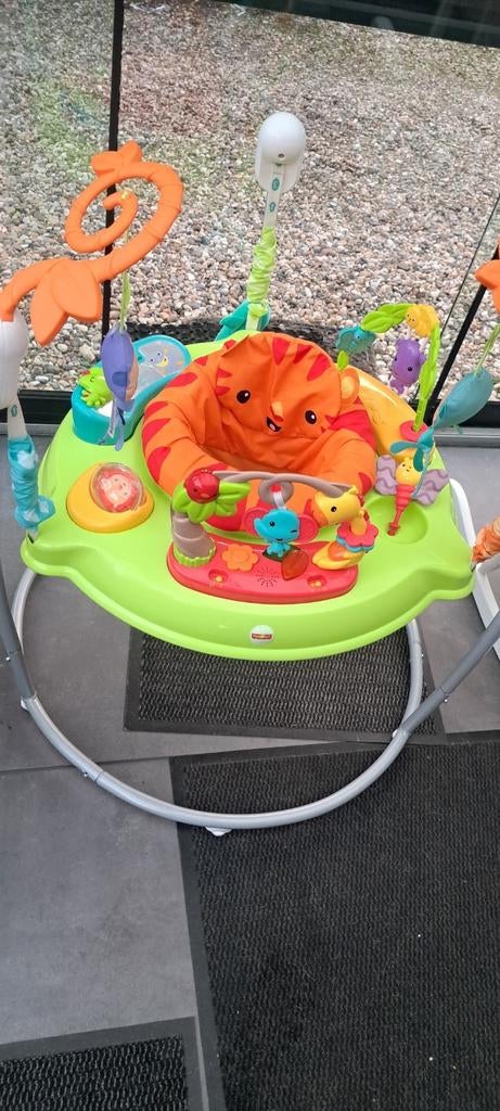 Fisher-Price Jumperoo - Bieden vanaf 45 euro, Kinderen en Baby's, Speelgoed | Fisher-Price, Ophalen of Verzenden, Gebruikt, Overige typen