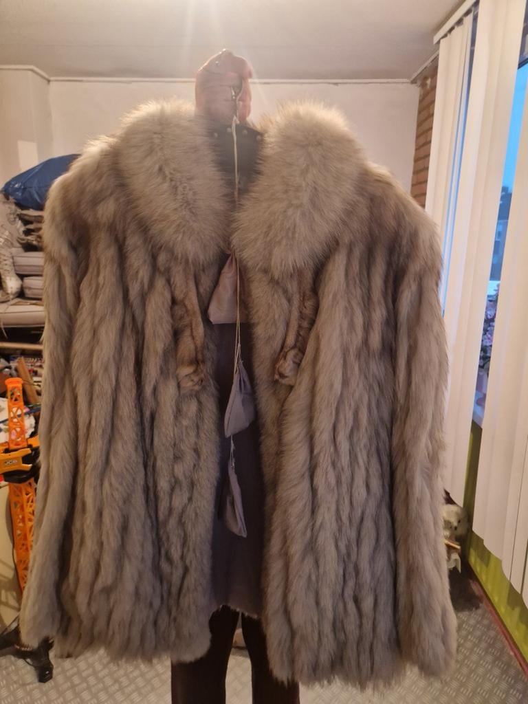 Saga Fox Bontjas Maat L - Papendrecht, Ophalen, Bruin, Maat 42/44 (L), Jasa Fox