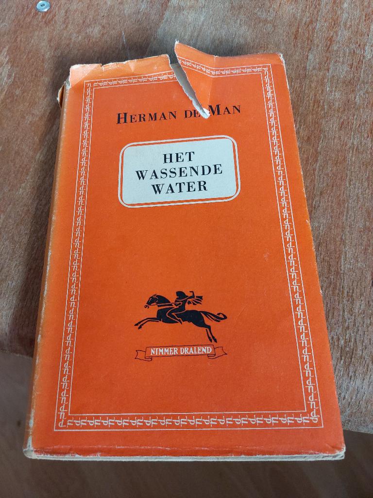 Herman de Man, het wassende water, Boeken, Ophalen of Verzenden, Gelezen
