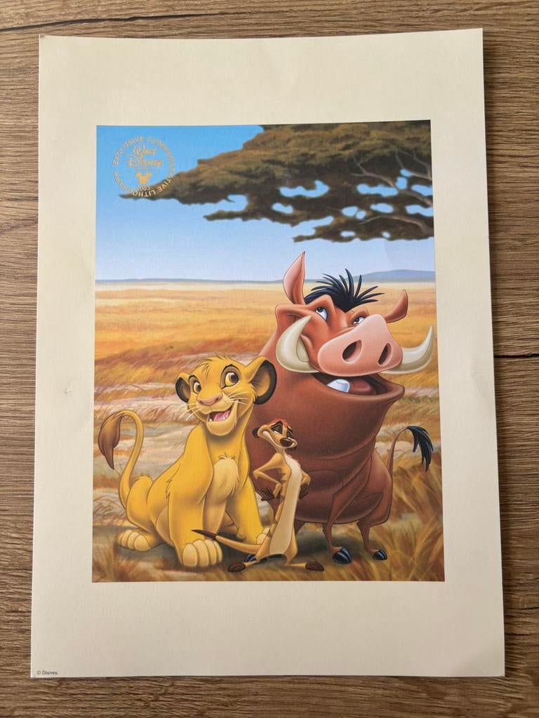 Disney exclusive commemorative lithography, Ophalen of Verzenden
