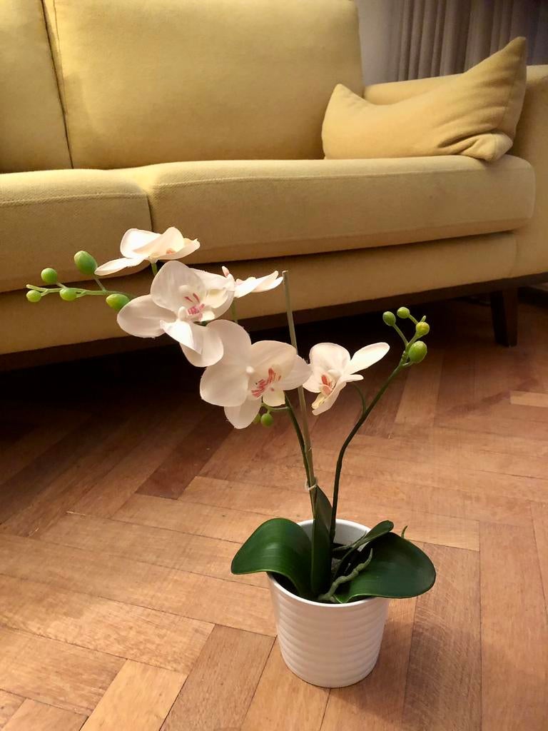 Orchidee (kunstplant) met pot - als nieuw!, Huis en Inrichting, Woonaccessoires | Kunstplanten en Kunstbloemen, Binnen, Kunstplant