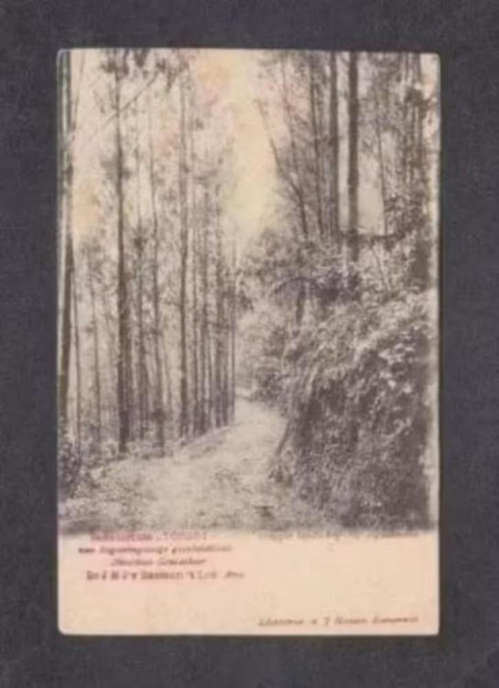 Indië Indonesië Sanatorium Tosari Soerabaja Oost-Java., Ophalen of Verzenden, Voor 1920, Ongelopen, Buiten Europa