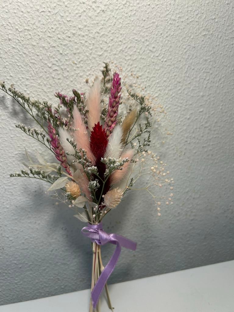 Vrolijk klein boeketje, Tuin en Terras, Planten | Tuinplanten, Ophalen of Verzenden