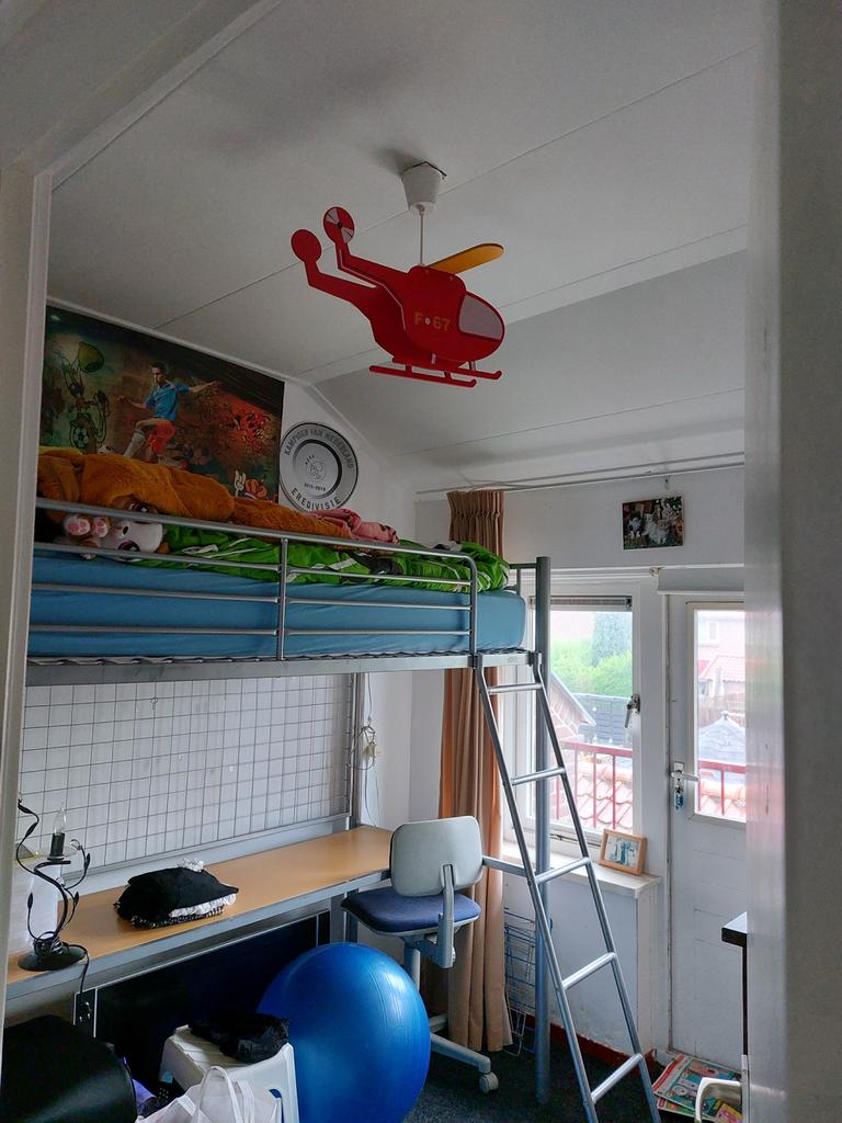 Gratis, hoogslaper, voor een mooie bos bloemen, Ophalen, Gebruikt, Hoogslaper