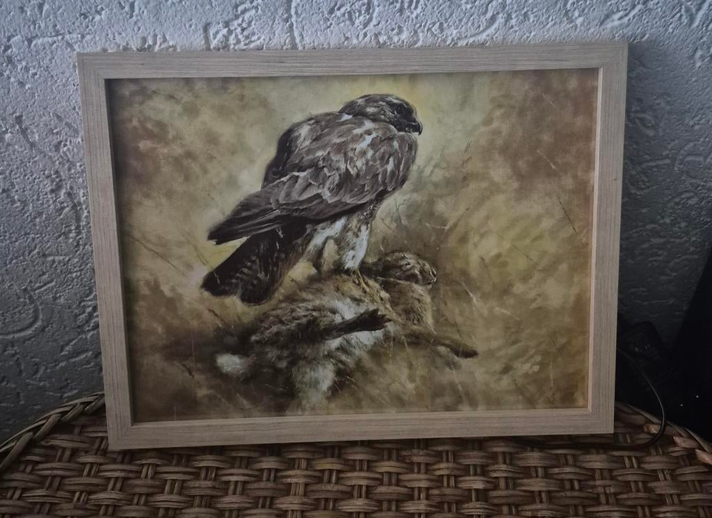 Rien Poortvliet prent roofvogel, Ophalen of Verzenden