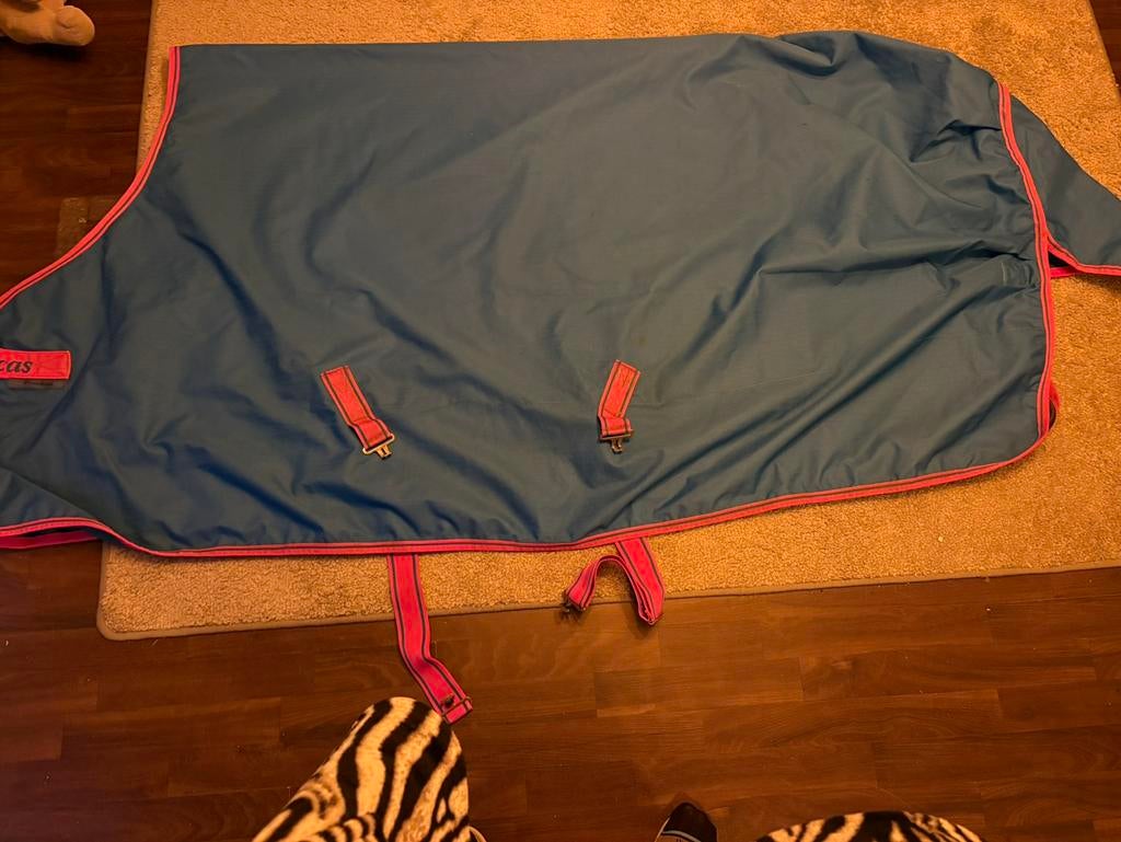 Waterdichte dekens, Dieren en Toebehoren, Paarden en Pony's | Dekens en Dekjes, Ophalen, Zo goed als nieuw