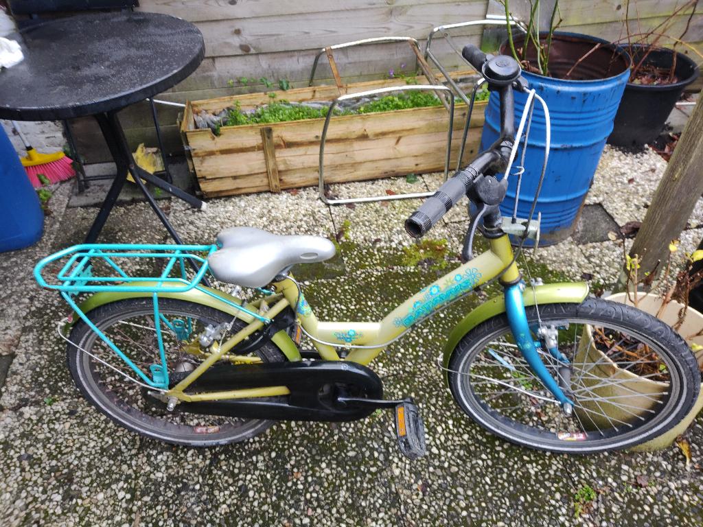 20 inch LOEKIE kinder fiets, Ophalen, Nieuw, 20 inch, Handrem