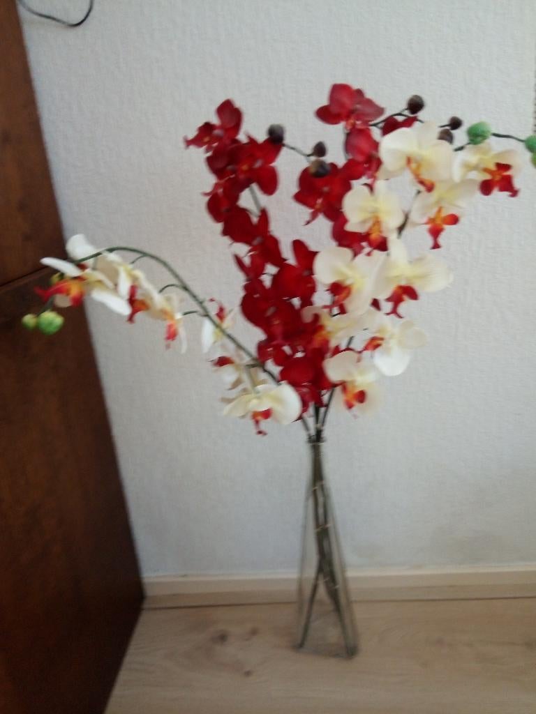 Orchideeën (kunst), Huis en Inrichting, Woonaccessoires | Kunstplanten en Kunstbloemen, Ophalen of Verzenden, Zo goed als nieuw