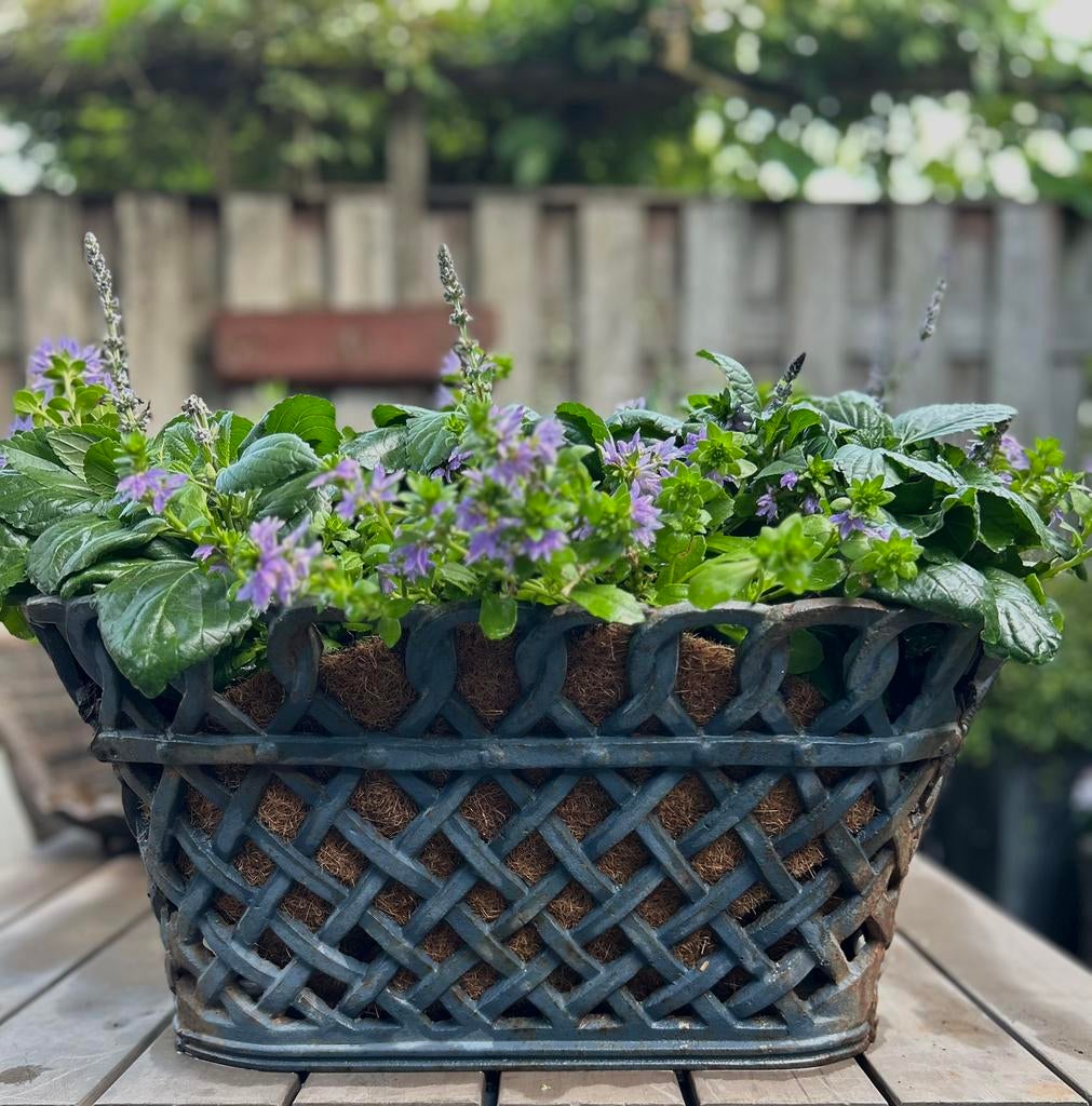 Oude gietijzeren bloembak sober sleets landelijk Brocante, Antiek en Kunst, Ophalen