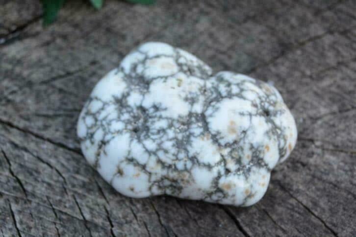 07. Gepolijste Magnesiet, Ophalen of Verzenden, Mineraal