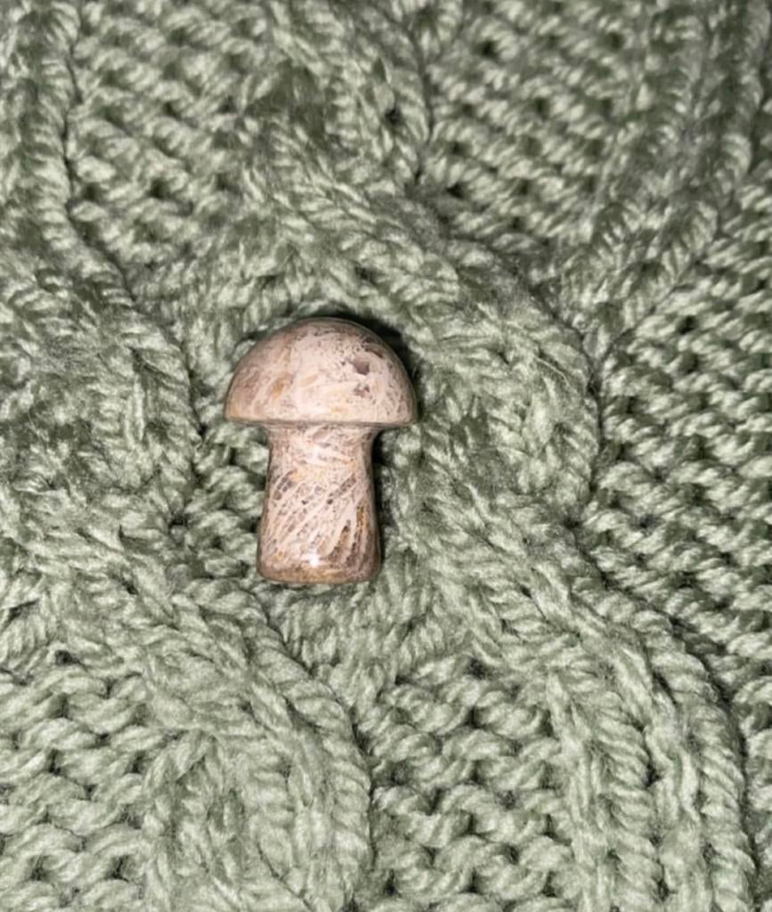 Fossilised Koraal, Ophalen of Verzenden, Zo goed als nieuw