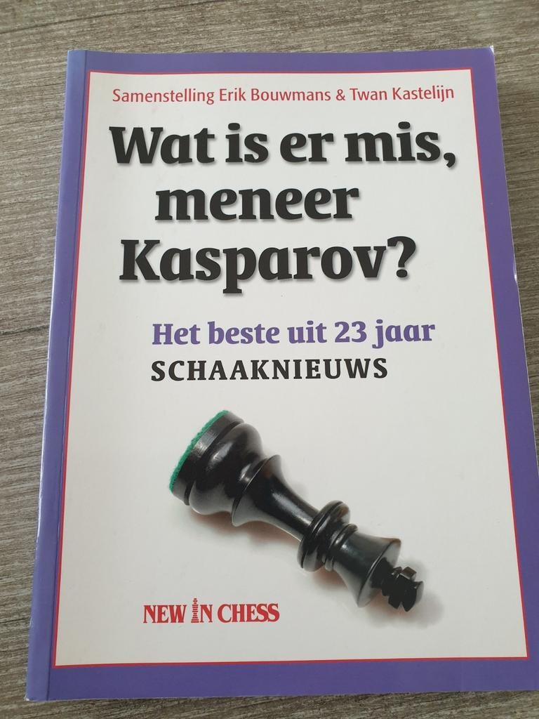 Wat is er mis, meneer Kasparov?, Boeken, Ophalen of Verzenden, Gelezen, Erik Bouwmans & Twan Kastelijn