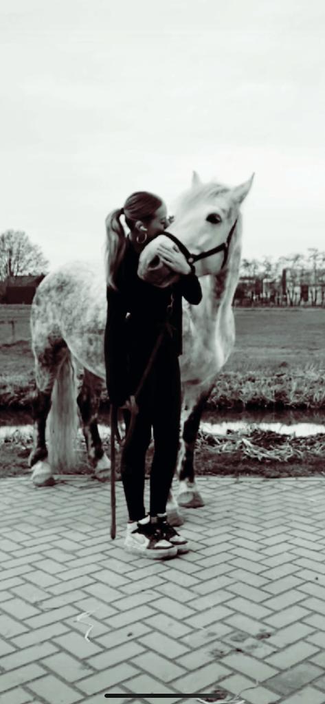 Boerderij/Stal hulp, Dieren en Toebehoren, Paarden en Pony's | Overige Paardenspullen, Ophalen of Verzenden, Overige soorten