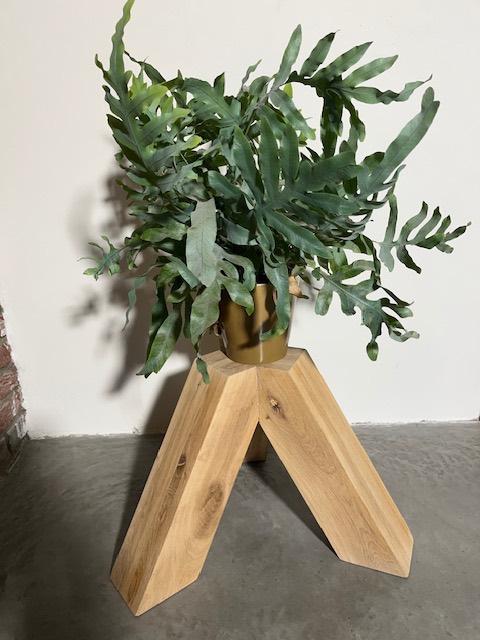 Plantentafeltje, Minder dan 50 cm, Eikenhout, Nieuw, Ophalen of Verzenden