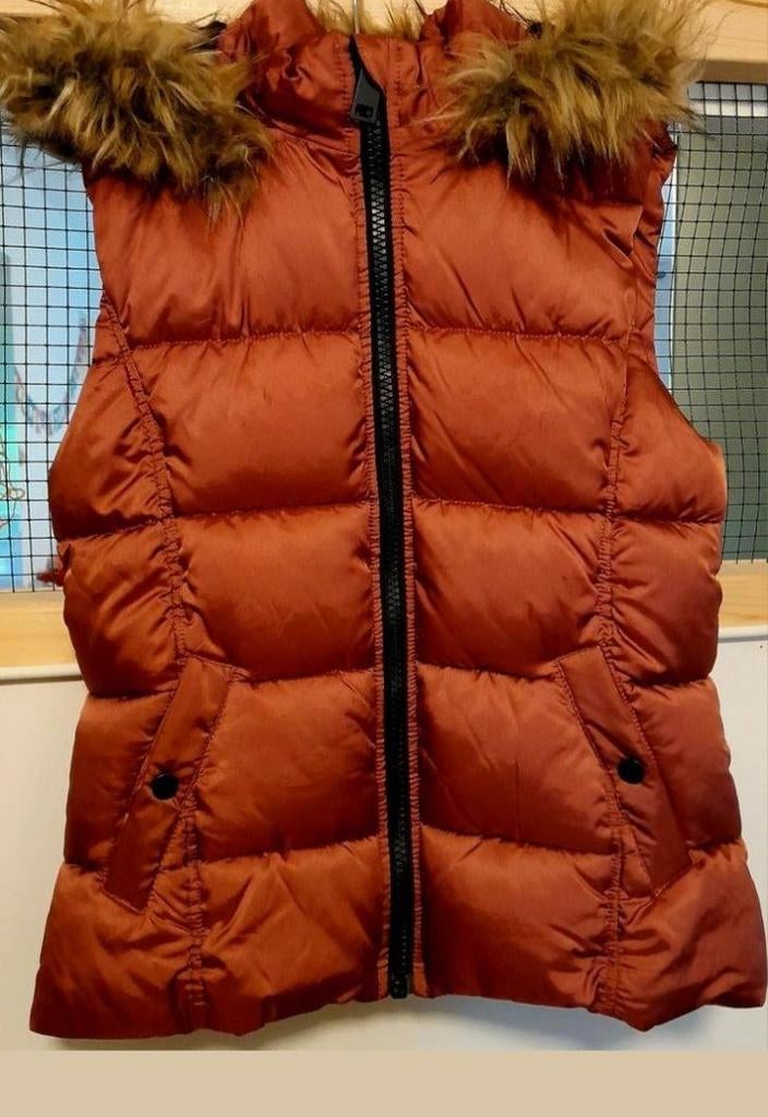 Bodywarmer bordeaux rood NIEUW 164 van h&m, Meisje, H&M, Nieuw, Ophalen of Verzenden