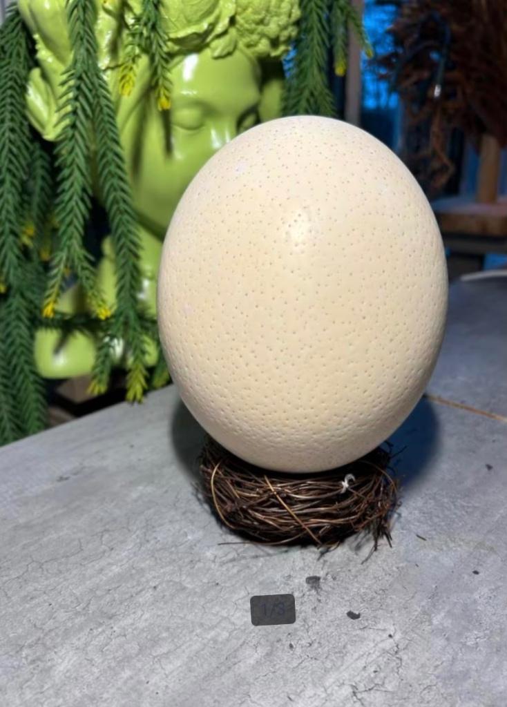 Struisvogel ei 14,5 cm in bruin mandje - decoratief, Ophalen of Verzenden