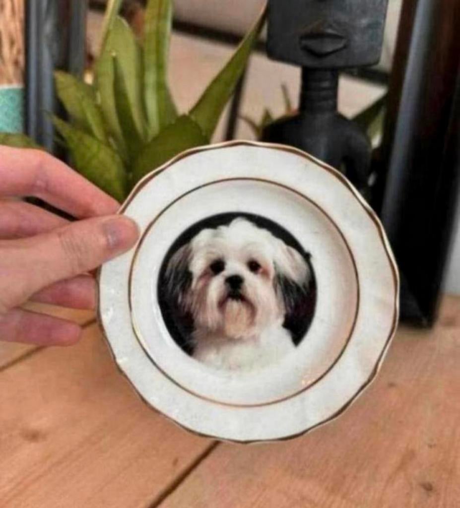 Schoteltje van faithful friends met een shih tzu / maltezer, Ophalen of Verzenden, Nieuw