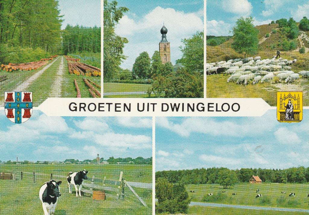 Groeten uit Dwingeloo 1981, Ophalen of Verzenden, 1980 tot heden, Gelopen, Drenthe