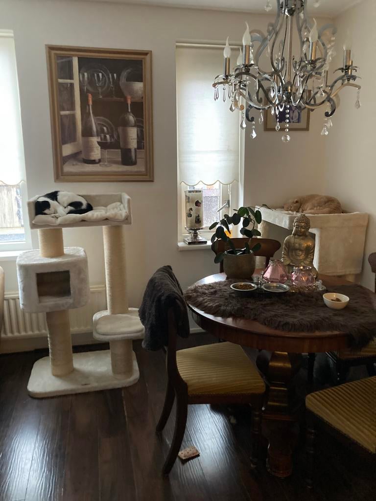 Vakantie opvang in huiselijke kring (kleinschalig), Particuliere oppas