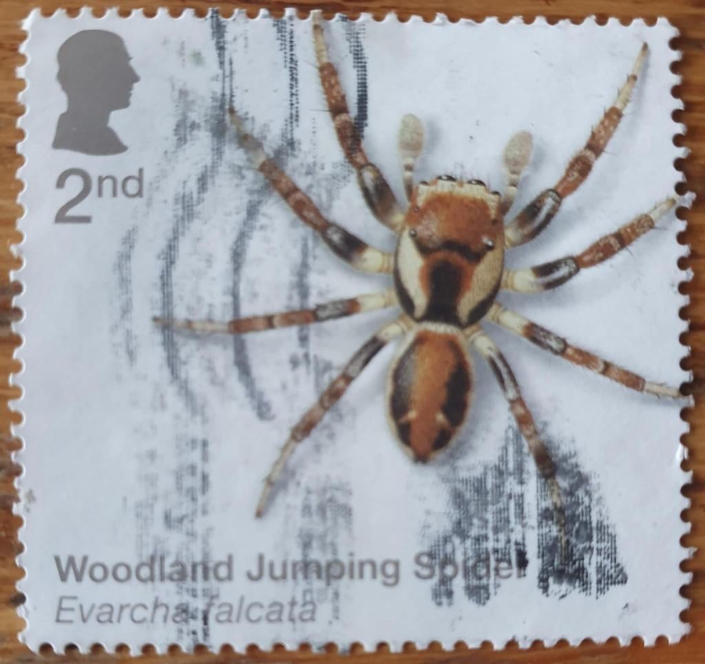 084-26 Engeland / Woodland Jumping Spider, Verzenden, Gestempeld