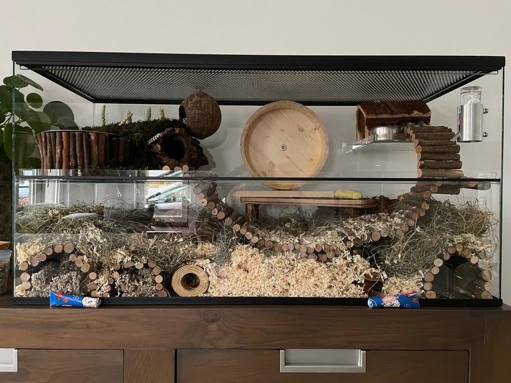 gerbillarium 100X50X60 cm, Kooi, Gebruikt, Muis, 75 tot 110 cm