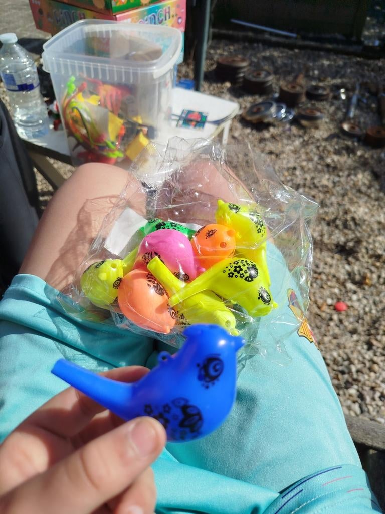 Vogel fluitjes, Kinderen en Baby's, Speelgoed | Overig, Jongen of Meisje, Ophalen of Verzenden