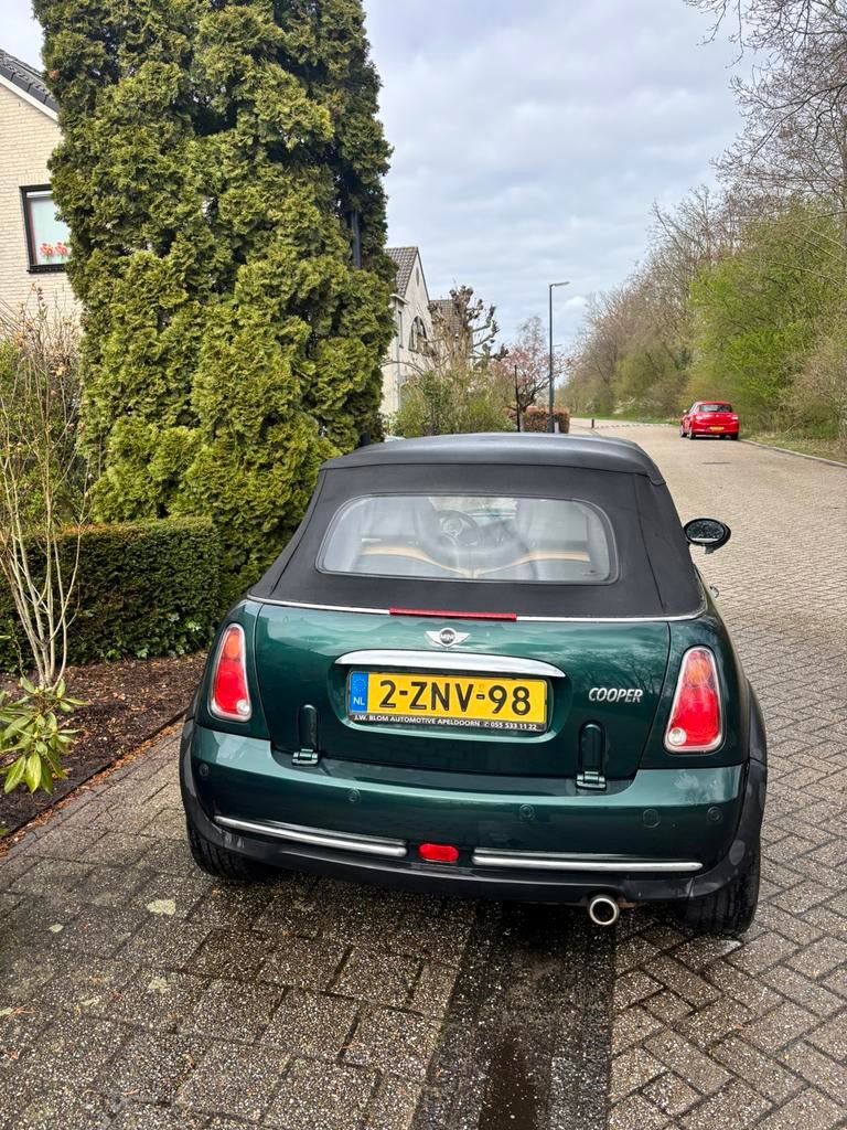 Mini 1.6 16V Cooper Cabrio AUT 2004 Groen, Auto's, 4 cilinders, 4 stoelen, 115 pk, Particulier