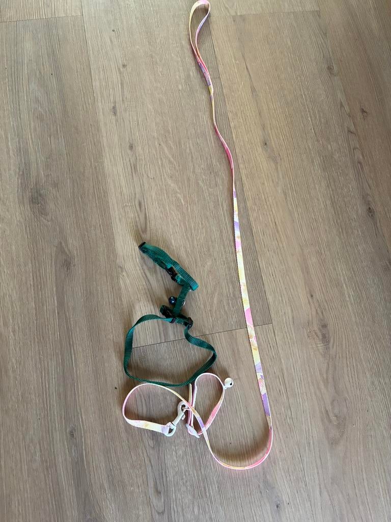 Kitten tuigjes, Ophalen, Zo goed als nieuw