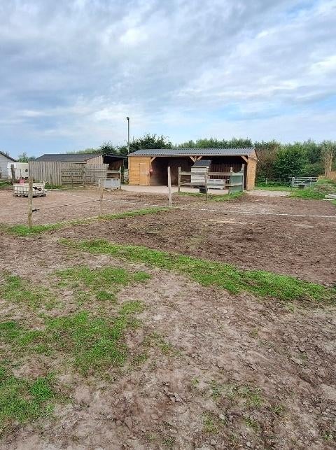 Wei met stal, Dieren en Toebehoren, Stalling en Weidegang, Weidegang