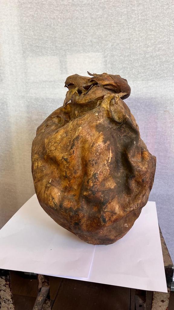 Grote gedroogde varkensblaas (blaasvaas), Ophalen of Verzenden