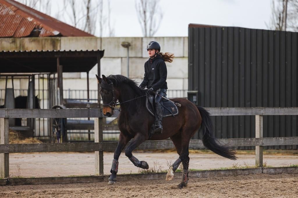 Lieve Ferdeaux merrie op zoek naar nieuw thuis!, Dieren en Toebehoren, Paarden, Merrie, Dressuurpaard, L, 7 tot 10 jaar