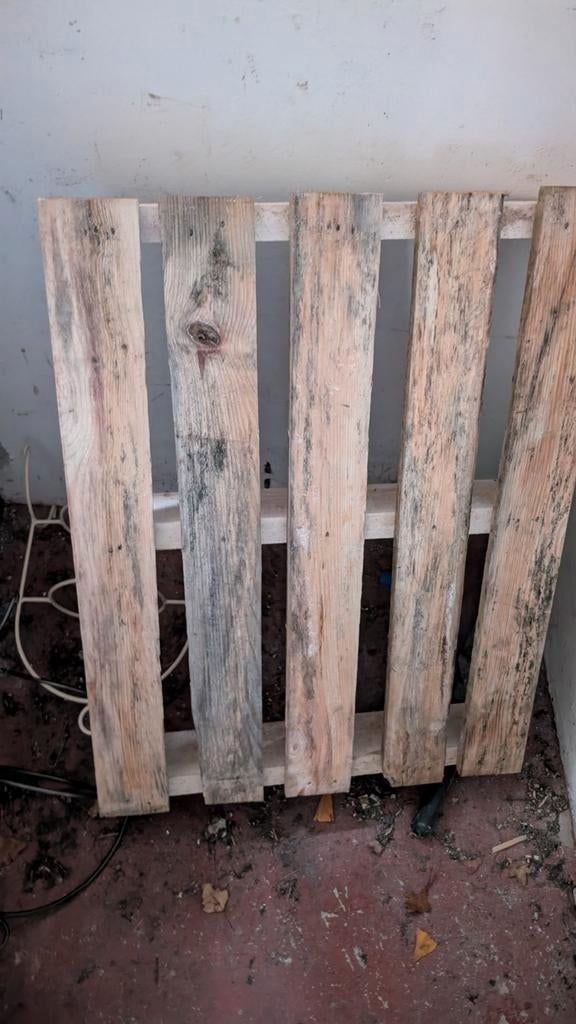 Kleine Pallet (84x61cm) - gratis af te halen, Ophalen, Overige houtsoorten, Minder dan 200 cm, Pallet