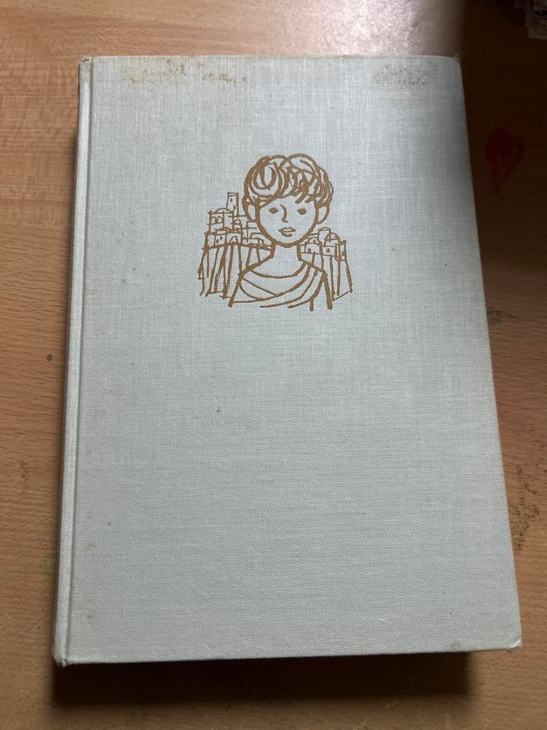 Kinderen in de Bijbel - Anne de Vries (Hardcover), Boeken, Ophalen of Verzenden, Gelezen, Christendom | Protestants