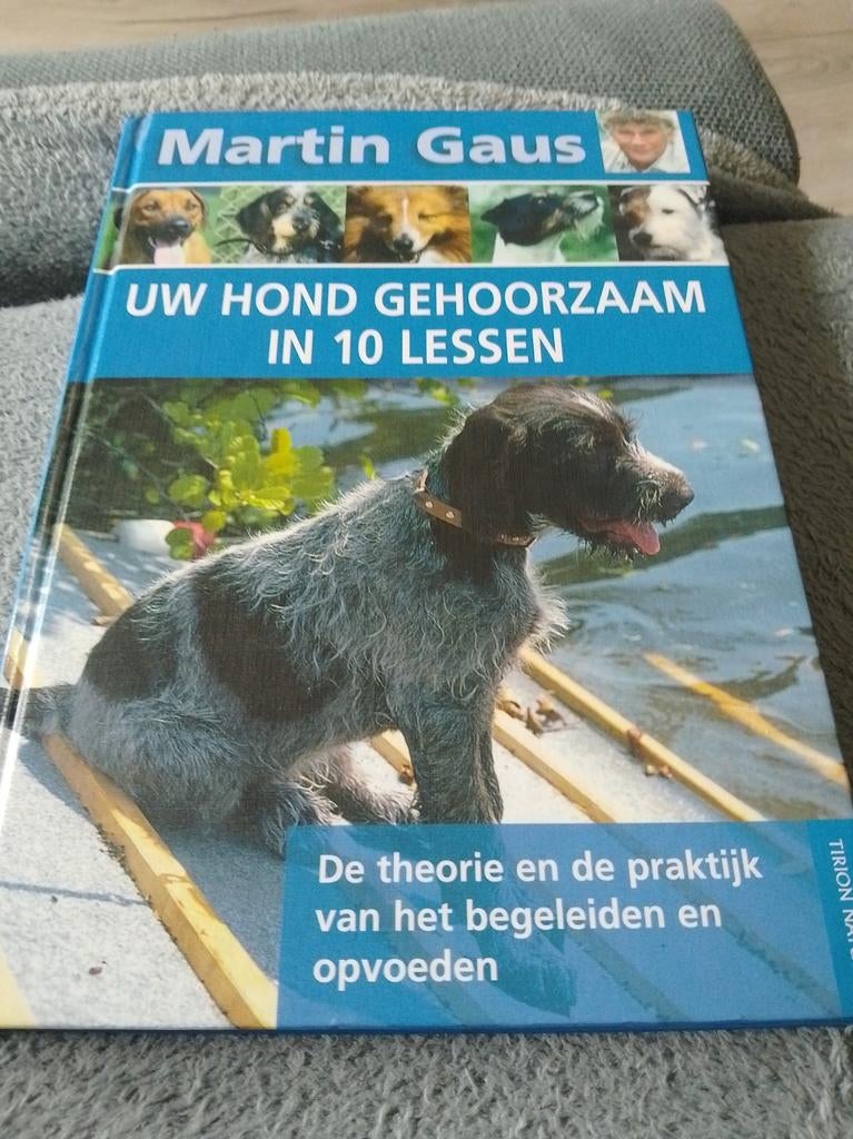 Martin Gaus - Uw hond gehoorzaam in 10 lessen, Honden, Ophalen of Verzenden, Zo goed als nieuw, Martin Gaus