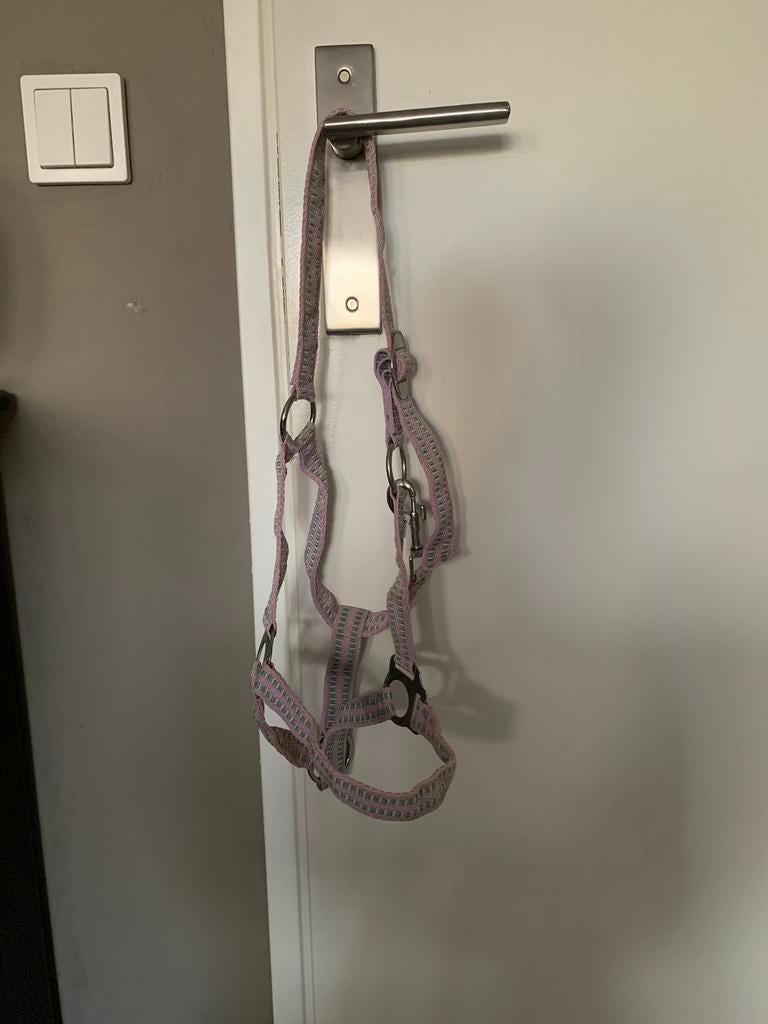 Halster maat cob, Ophalen of Verzenden, Gebruikt, Overige soorten