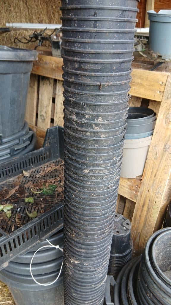 2 liter ronde kweekpotten 50 stuks voor, Tuin en Terras, Bloempotten, Kunststof, Gebruikt, Rond, Ophalen of Verzenden