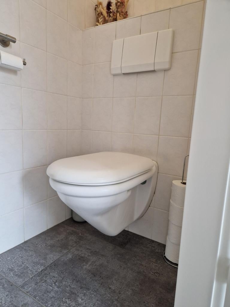 Toiletpot hangend 2 stuks wit met spoelknop, Ophalen