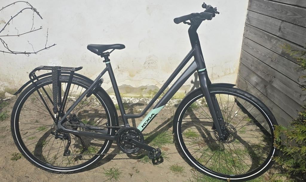 Koga F3 3.0 bij 2024, Ophalen, 56 cm of meer, Zo goed als nieuw, Koga Miyata