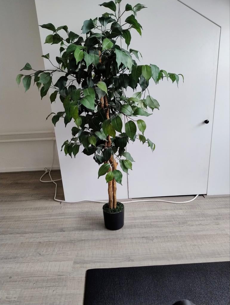 Kunst boompje, Ophalen, Zo goed als nieuw, Binnen